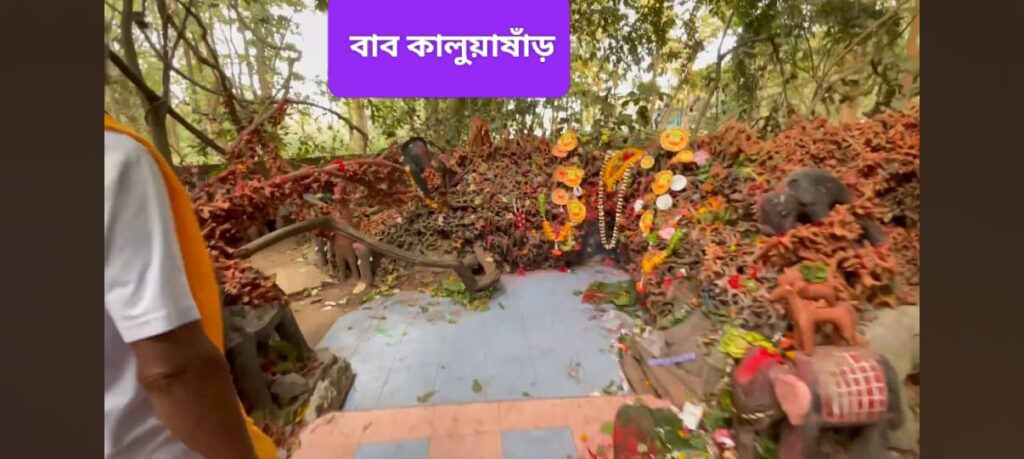 প্রাচীন মন্দির কালুয়াষাঁড়: ভারতের অজানা ধর্মীয় ও সামাজিক বাস্তবতা